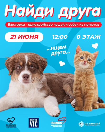 Найди пушистого друга в ТРЦ «Щёлковский»