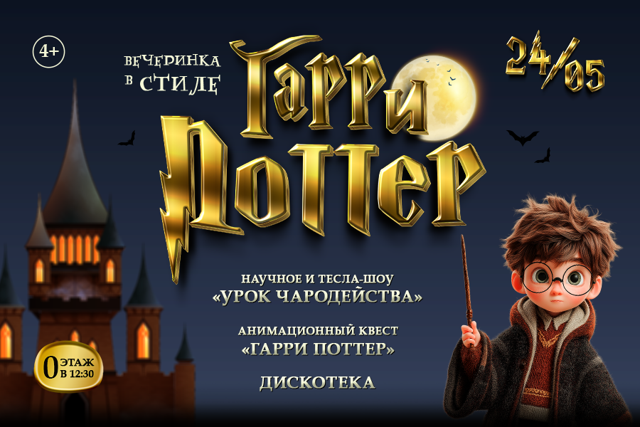 Вечеринка в стиле «Гарри Поттер» Вечеринка в стиле «Гарри Поттер»