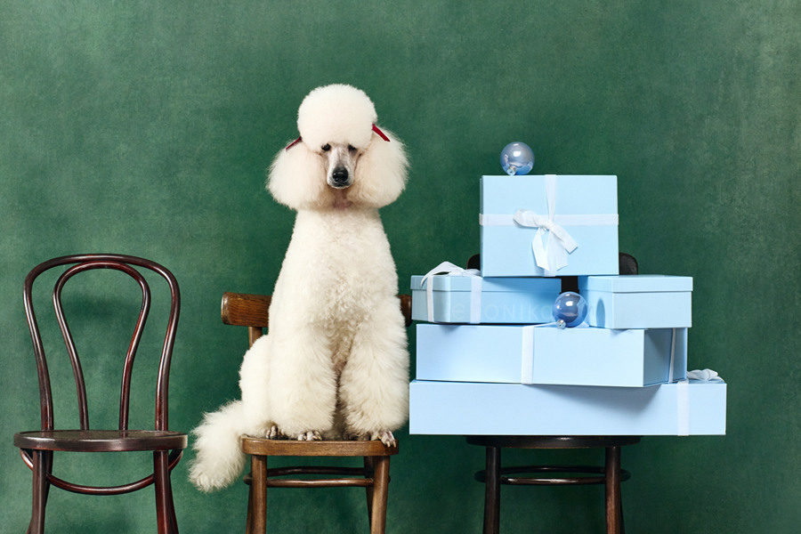 Скидки до -40% в EKONIKA